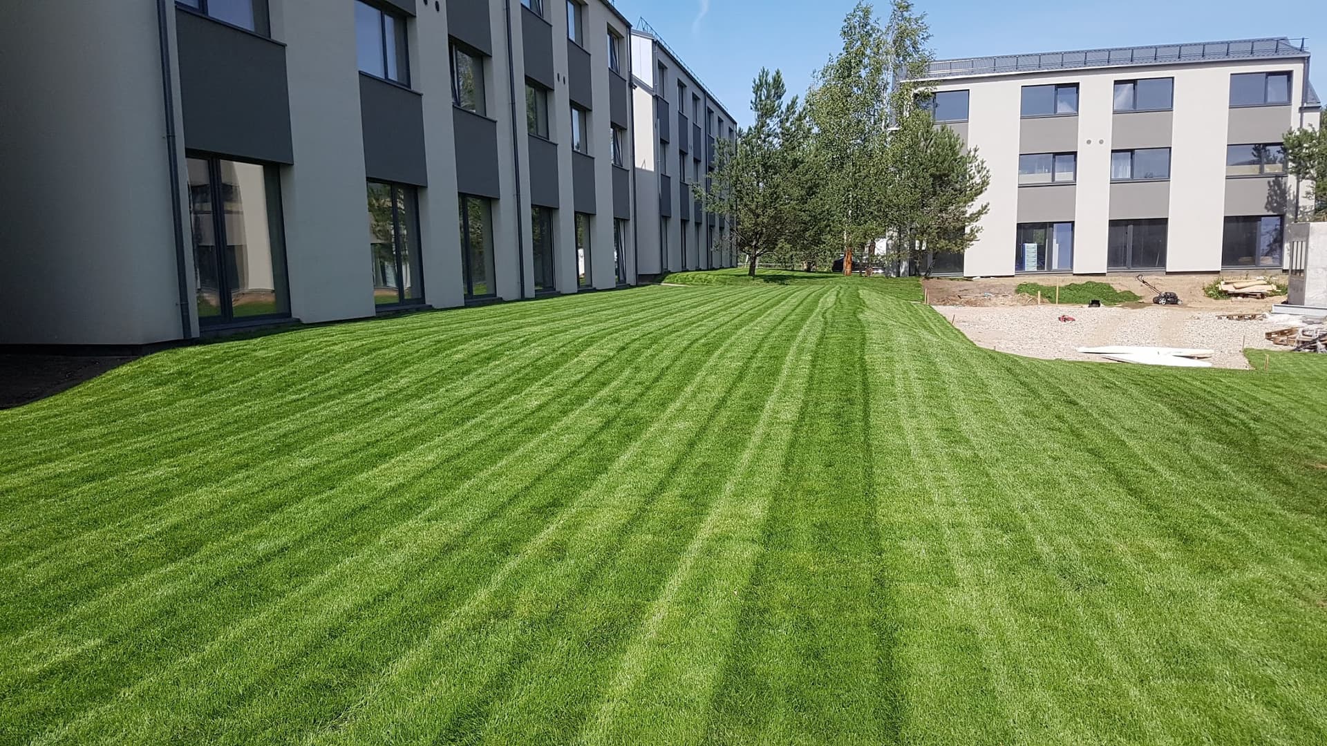 Nupjauta dryžuota veja prie administracinio pastato