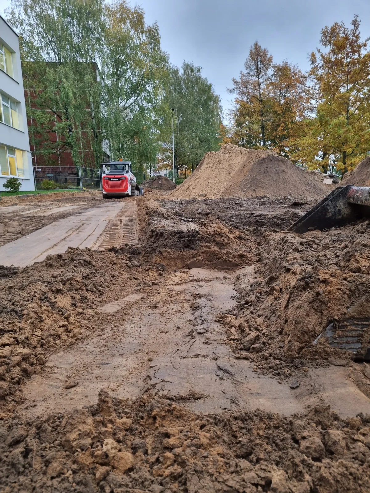 Dangų pagrindo sluoksnių keitimo eiga