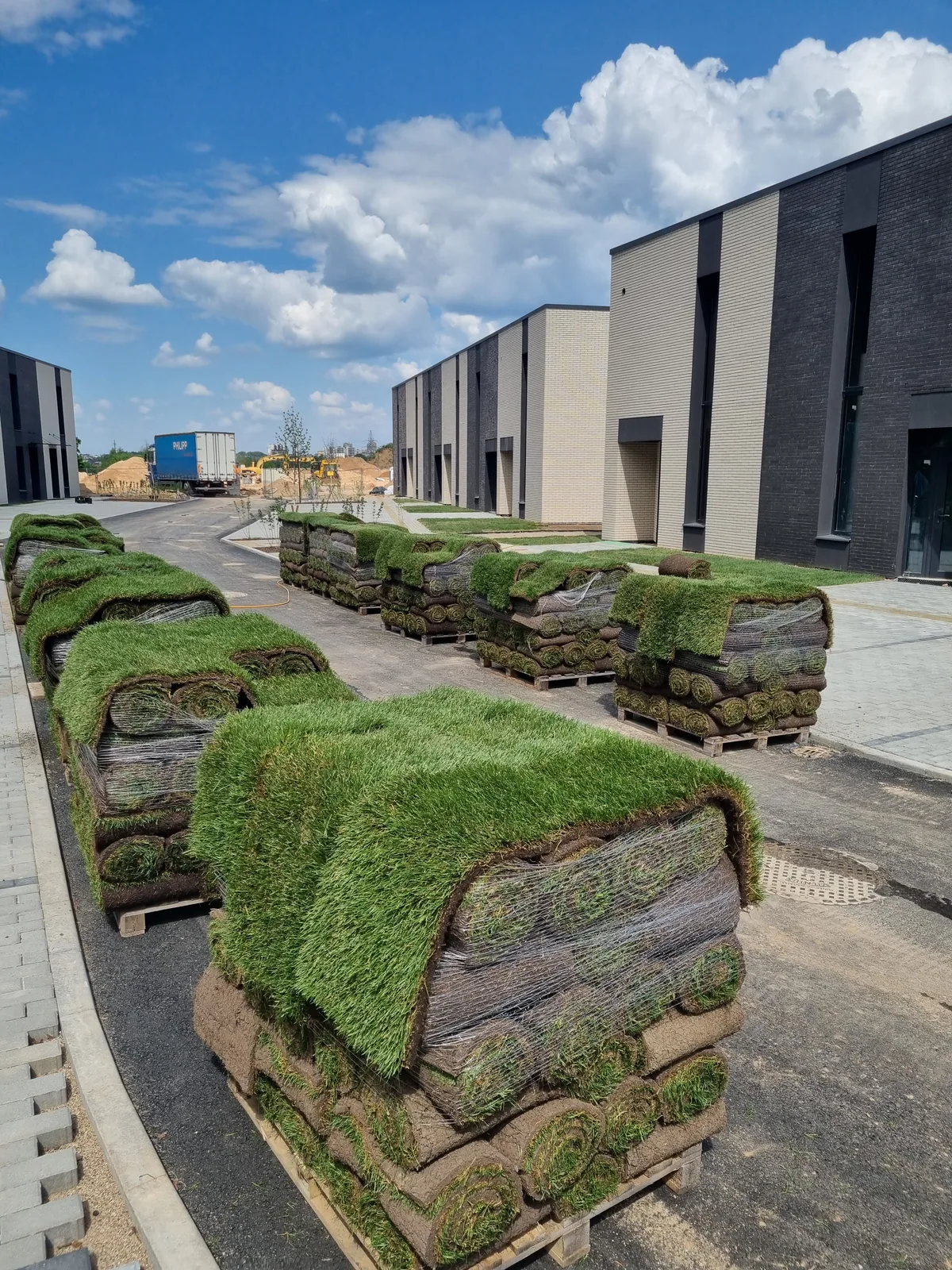 Atvežta ruloninė veja ant palečių „MO Garden“ projekte