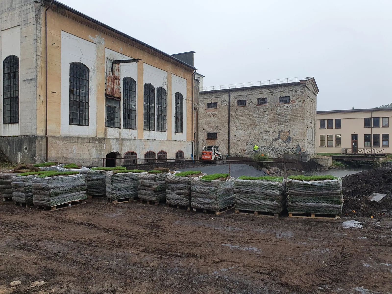 Ruloninės vejos ritiniai prie tvarkomos fabriko teritorijos