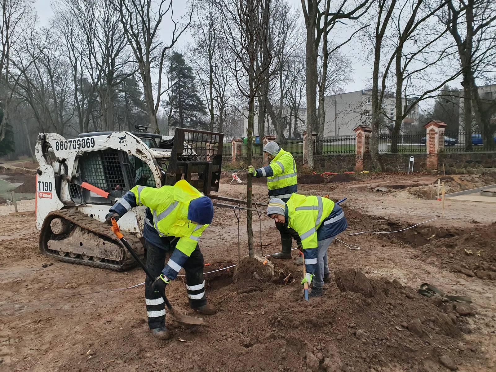 Medžių sodinimas naudojant techniką Trakų Vokės dvaro parke