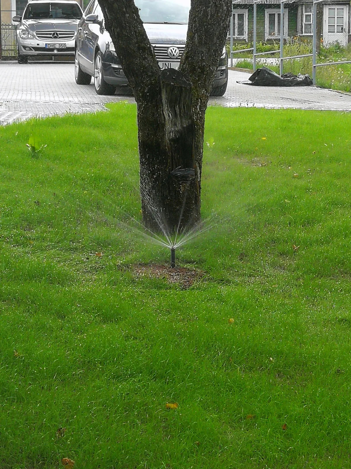 Veikiantis laistymas žalioje vejoje Verkiuose